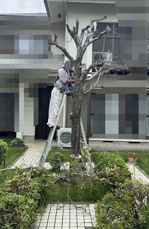 (横浜市緑区）植栽剪定前