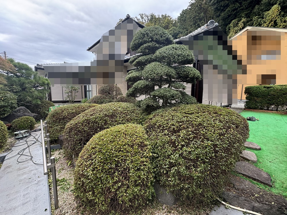 横浜市　植木剪定