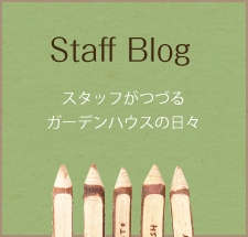 Staff Blog åդĤŤ륬ǥϥ / /</div /</div /</div /</div /</div