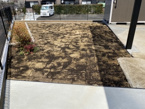 S__24182844_0 S__24182844_0