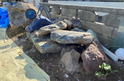 S__26173456_0 S__26173456_0